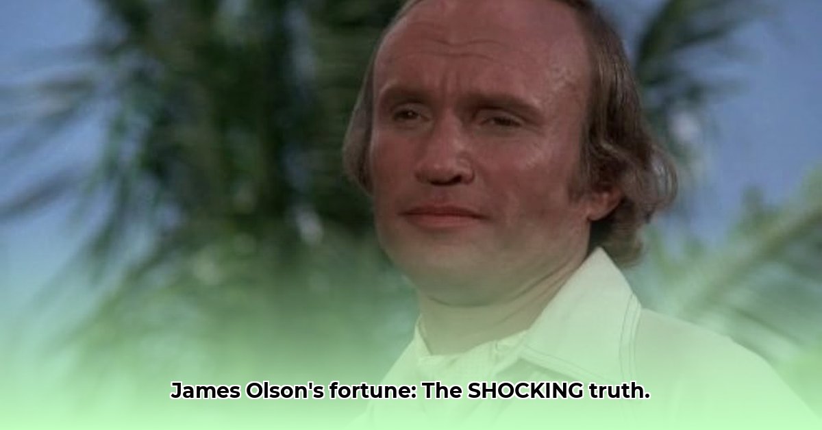 james-olson-net-worth